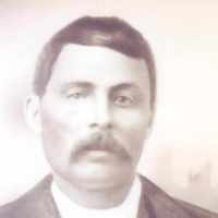 William McDonald (1847 - 1904) Profile